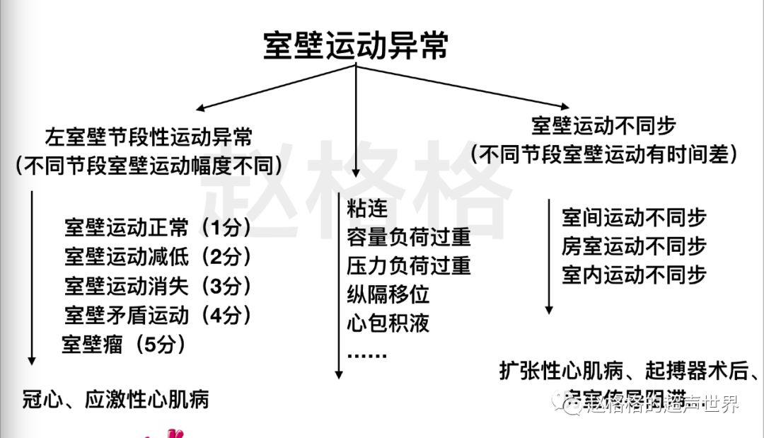 左室壁17节段划分图片