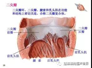 微信图片_20180806163659.jpg